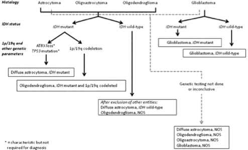 primary-brain-tumours